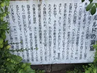 東京カテドラル聖マリア大聖堂の写真・動画_image_145317