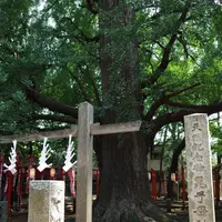 鬼子母神堂の写真・動画_image_145346