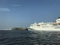 シーバスの写真・動画_image_145362