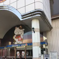 東京健康ランド まねきの湯の写真・動画_image_145428