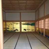 名古屋城の写真・動画_image_145454