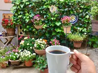 冨久豆の写真・動画_image_145644