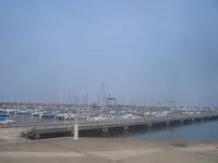 淡輪ヨットハーバーの写真・動画_image_145648