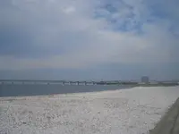 りんくう公園の写真・動画_image_145649