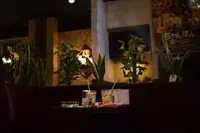 喫茶 ニットの写真・動画_image_145659