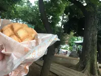鬼子母神堂の写真・動画_image_145886