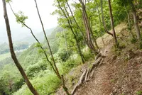 天空の遊歩道 岐阜のマチュピチュ ビュースポットの写真・動画_image_145955