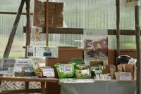 岐阜のマチュピチュの写真・動画_image_145960