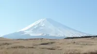 松陰寺の写真・動画_image_146166