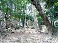渭伊神社の写真・動画_image_146176