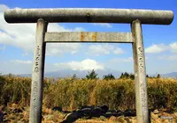 松陰寺の写真・動画_image_146184