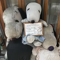 ラミ （L'Ami）の写真・動画_image_146222