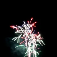 越前夏まつり「花火大会」の写真・動画_image_146527