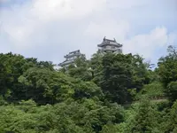 越前大野城の写真・動画_image_146535