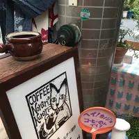 ノラリ&クラリの写真・動画_image_146541