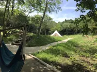 The SOUTHERN PENINSULAの写真・動画_image_146571