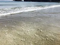 弓ヶ浜の写真・動画_image_146573