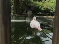 大島公園動物園の写真・動画_image_146576