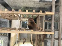 大島公園動物園の写真・動画_image_146579