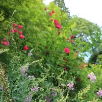 円通院の写真・動画_image_146614