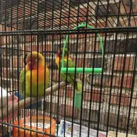 イノダコーヒ 本店の写真・動画_image_146707