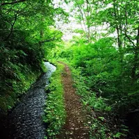 香澄の滝の写真・動画_image_146718