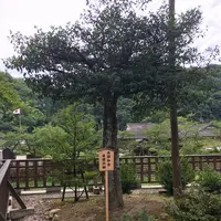熊野大社の写真・動画_image_146866