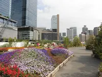 【閉園】うめきたガーデンの写真・動画_image_146895