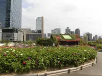 【閉園】うめきたガーデンの写真・動画_image_146897