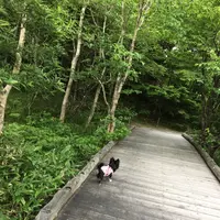 美ヶ原高原美術館の写真・動画_image_146925