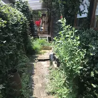 アンリロの写真・動画_image_146962