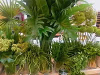 【閉業】エンボカ軽井沢 旧軽井沢店の写真・動画_image_146997