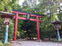 根津神社の写真・動画_image_147121
