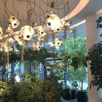 二子玉川 蔦屋家電の写真・動画_image_147174