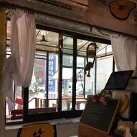 banana treeの写真・動画_image_147179