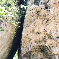 斎場御嶽の写真・動画_image_147238