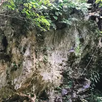 斎場御嶽の写真・動画_image_147242