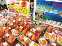 おんなの駅 なかゆくい市場の写真・動画_image_147243