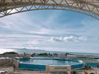 沖縄美ら海水族館の写真・動画_image_147259