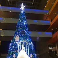 二子玉川ライズ・ショッピングセンターの写真・動画_image_147405