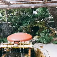 題経寺（柴又帝釈天）の写真・動画_image_147450