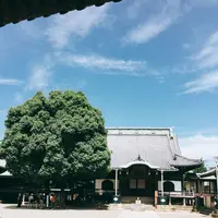 題経寺（柴又帝釈天）の写真・動画_image_147453