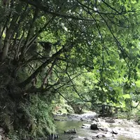 【閉業】滝流しそうめんの写真・動画_image_147593