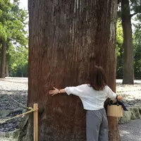 伊勢神宮の写真・動画_image_147637