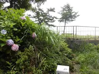 まやビューライン夢散歩の写真・動画_image_147769
