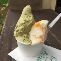 麓ジェラート fumoto gelatoの写真・動画_image_147843