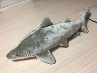 アクアワールド茨城県大洗水族館の写真・動画_image_147865