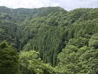 音水湖(引原ダム）の写真・動画_image_147897