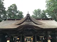 熊野大社の写真・動画_image_147915