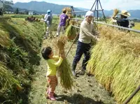 南魚沼市農業体験大学校の写真・動画_image_147929